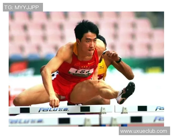 上海排球队在欧锦赛的拼搏历程与荣耀时刻全景回顾