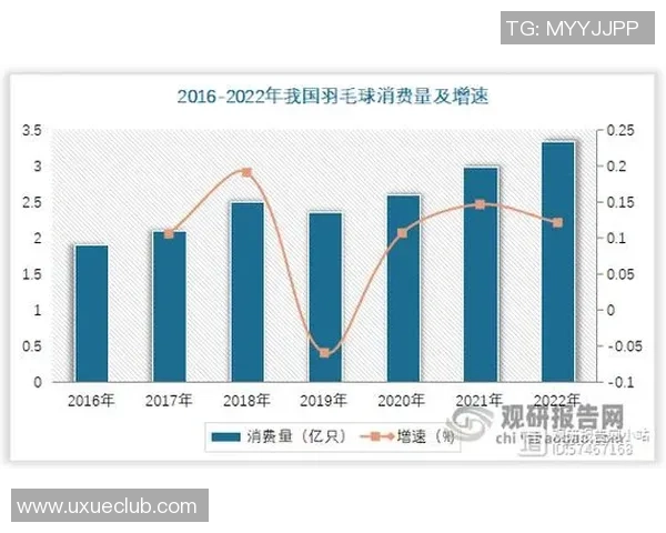 上海羽毛球队意识表现的数据分析与提升策略探讨