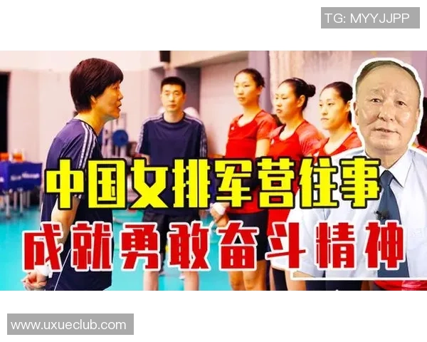 南京排球队的拼搏之路全国锦标赛特别报道展现奋斗精神与团队力量