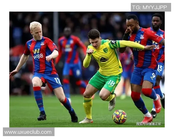 全球各大联赛足球明星汇总及其精彩表现分析