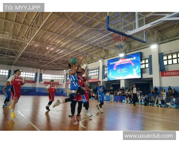 王伟独家分享篮球心得与技巧探讨助你提升球技的全面指南