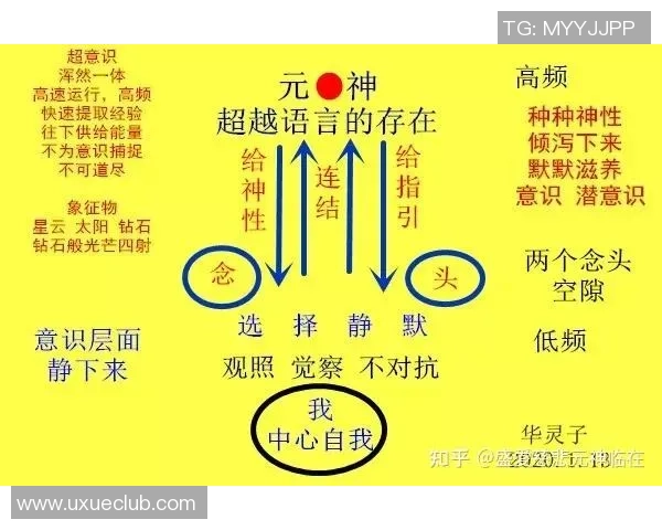 重庆排球队意识对比分析揭示团队协作与个体表现的深层关系 重庆排球队意识对比分析揭示团队协作与个体表现的深层关系