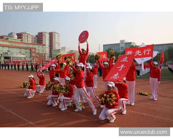 足球明星摇子图片展示各大球星风采与激情瞬间的精彩合集